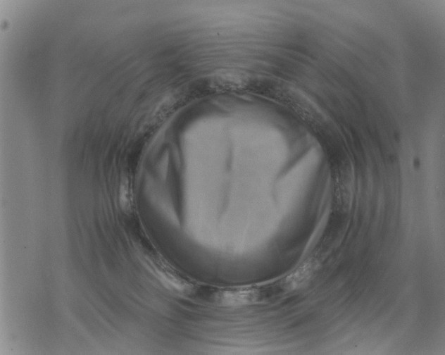 X0000075870134200610062012