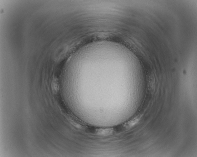 X0000075870135200610062012