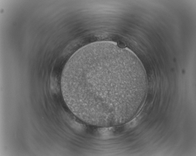 X0000075870136200610062012