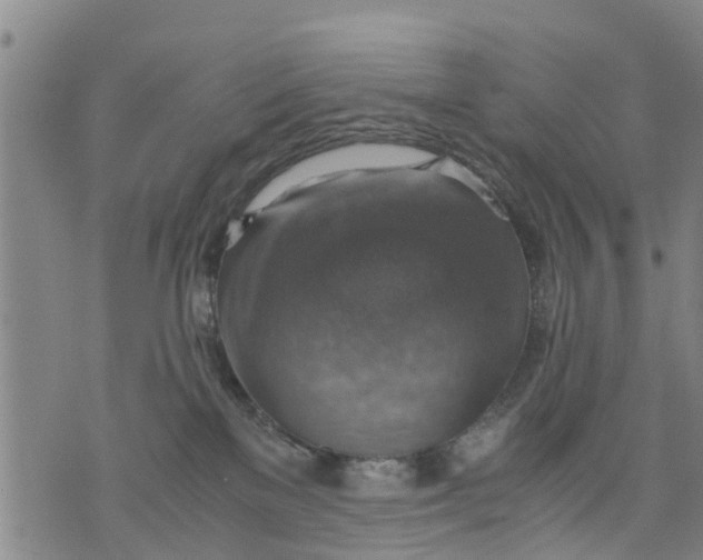 X0000075870137200610062012