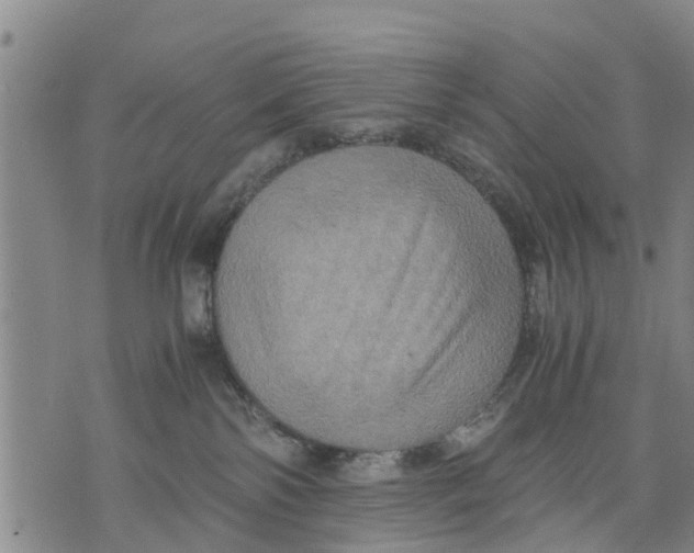 X0000075870138200610062012