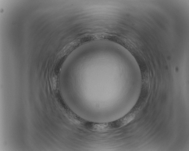 X0000075870139200610062012