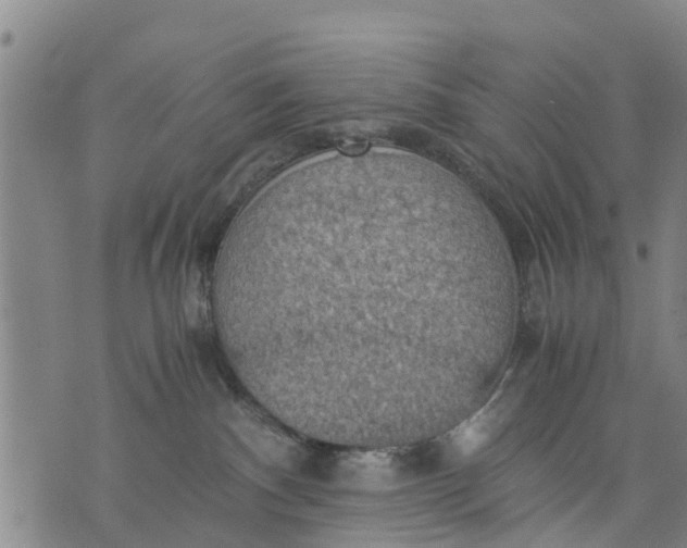 X0000075870140200610062012