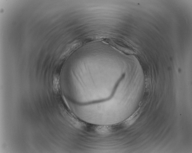 X0000075870142200610062012