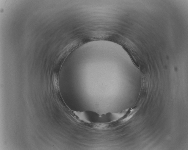 X0000075870143200610062012