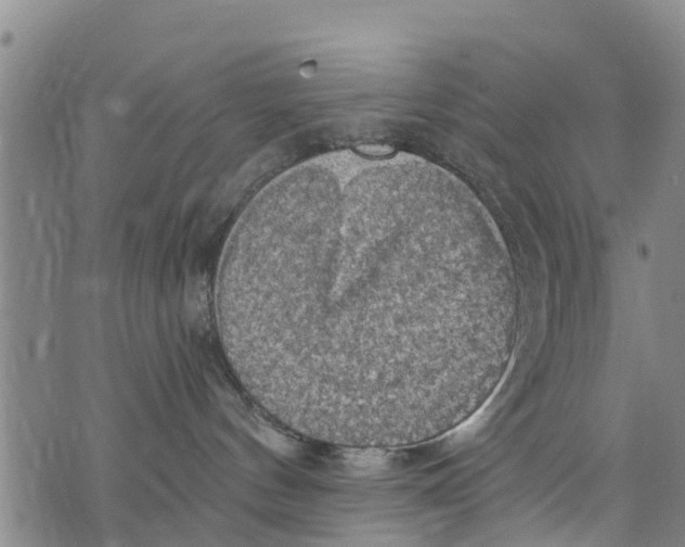 X0000075870144200610062012