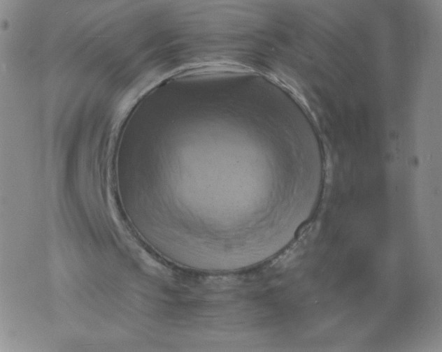 X0000075870145200610062011