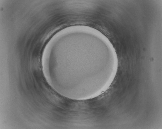 X0000075870146200610062011