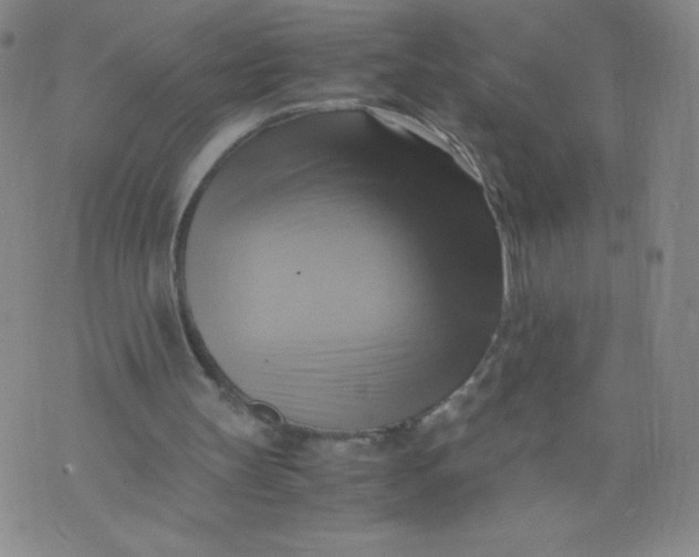 X0000075870147200610062011