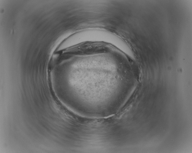 X0000075870148200610062011