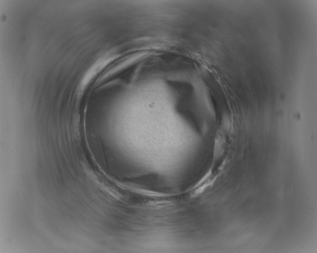 X0000075870150200610062011