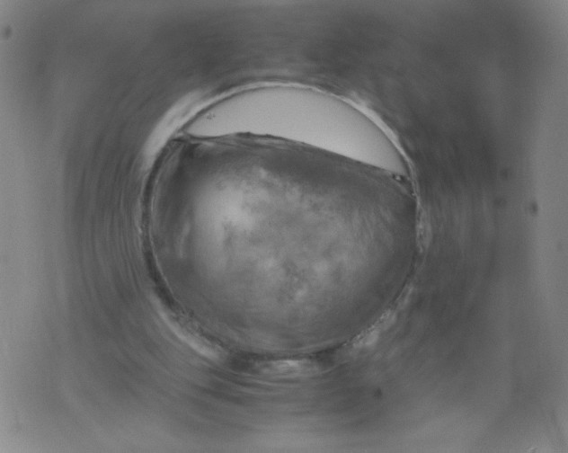 X0000075870151200610062011