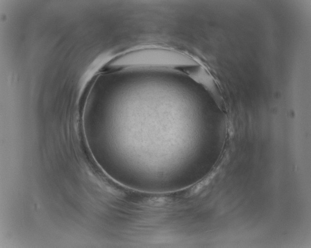 X0000075870152200610062011