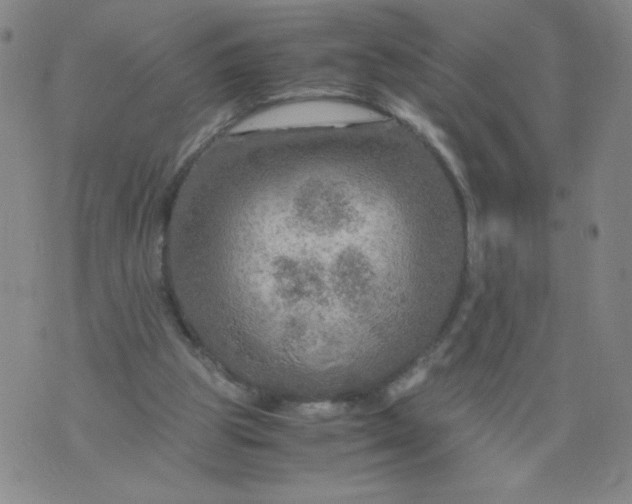 X0000075870153200610062011