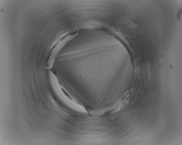 X0000075870154200610062011