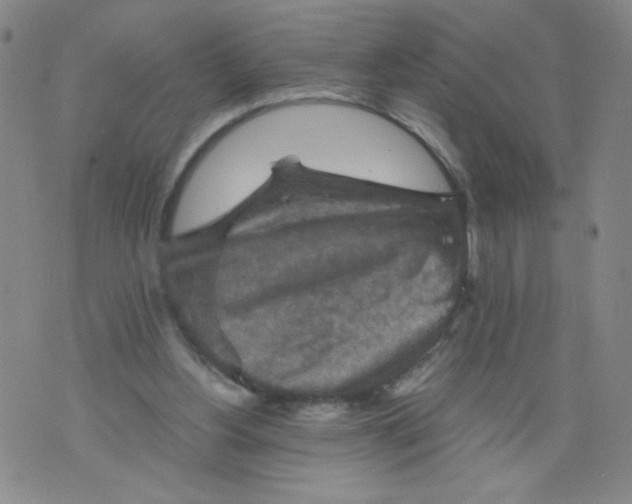 X0000075870156200610062011