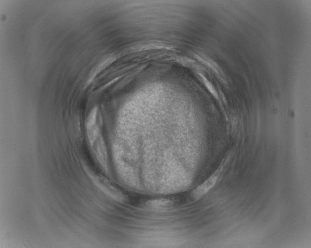 X0000075870158200610062011