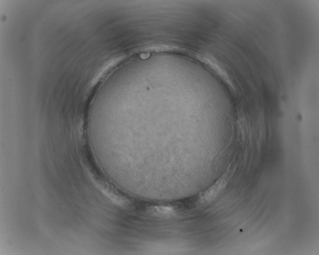 X0000075870159200610062011