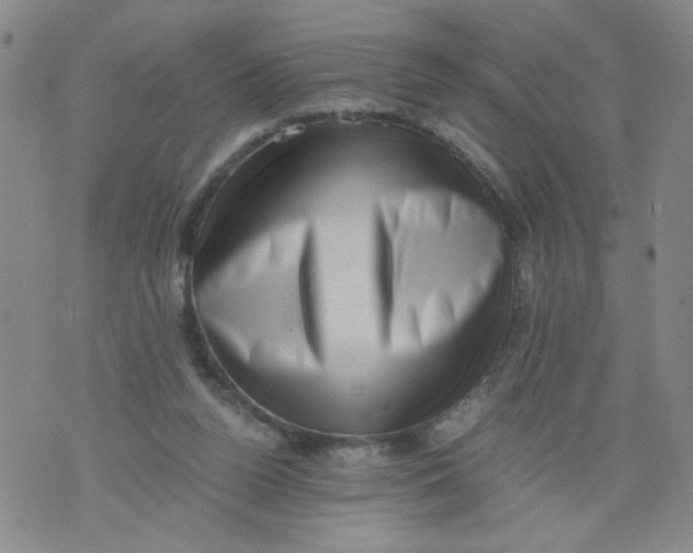 X0000075870160200610062011