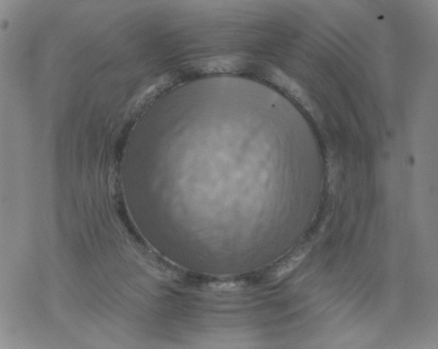 X0000075870161200610062011