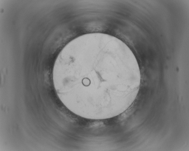 X0000075870162200610062011