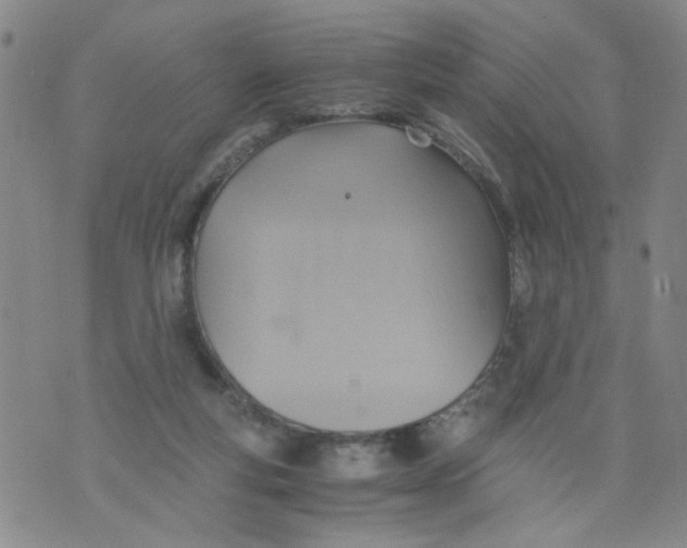 X0000075870163200610062011