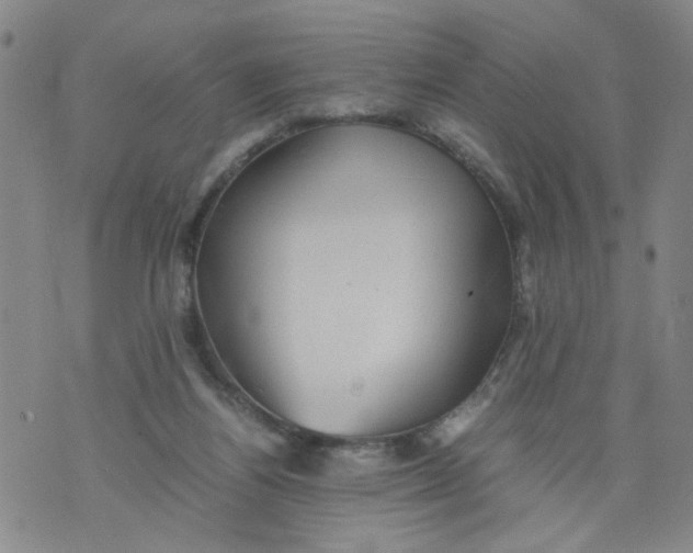 X0000075870164200610062011