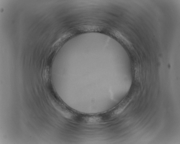 X0000075870165200610062011