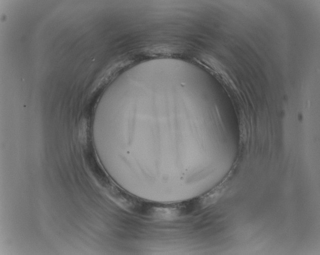 X0000075870167200610062011