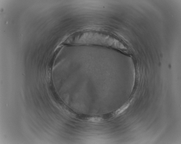 X0000075870168200610062011