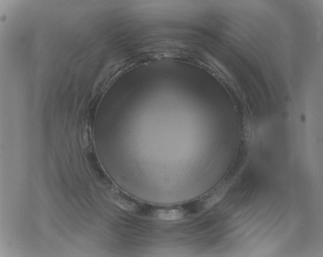 X0000075870169200610062011