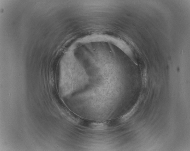 X0000075870170200610062011