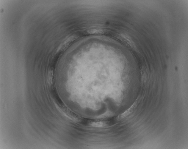 X0000075870171200610062012