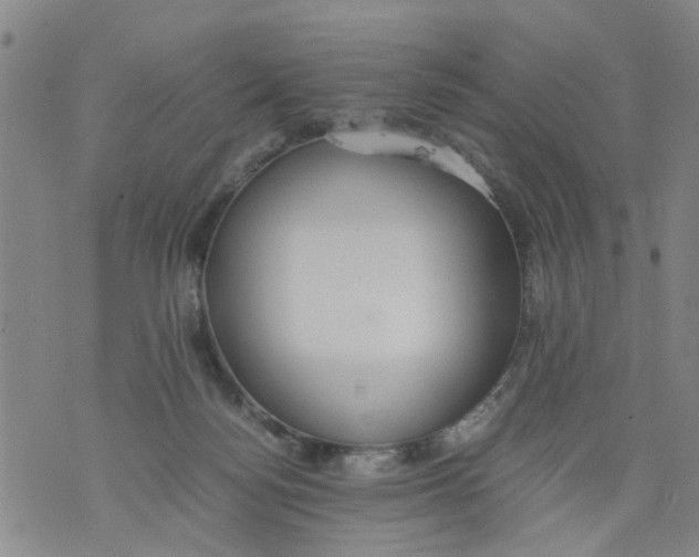 X0000075870172200610062012