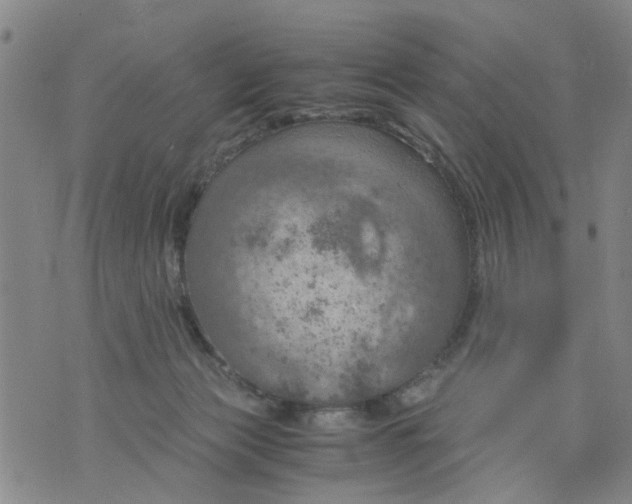 X0000075870173200610062012