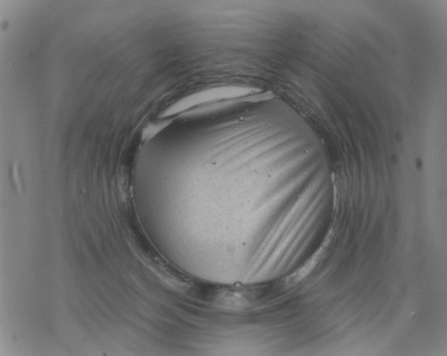 X0000075870174200610062012