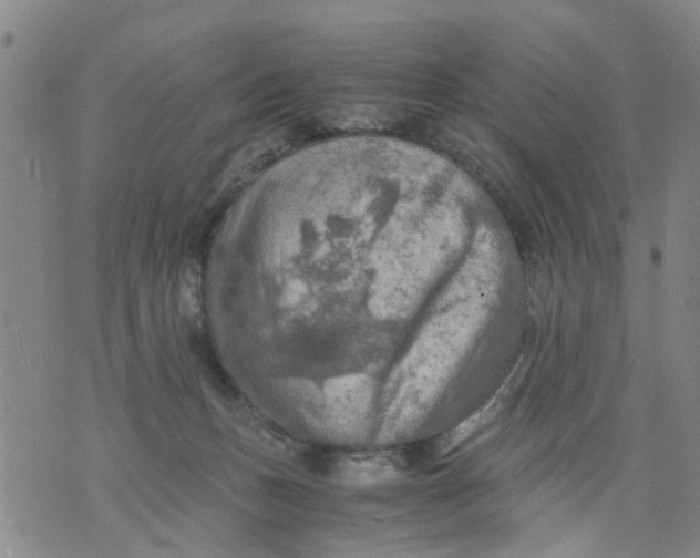 X0000075870175200610062012