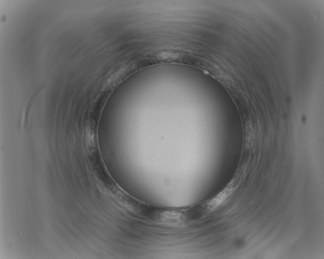 X0000075870176200610062012