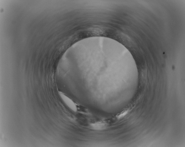 X0000075870177200610062012