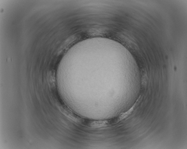 X0000075870179200610062012