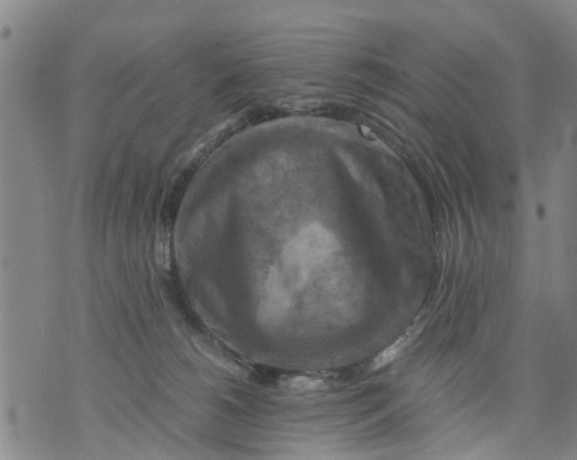 X0000075870180200610062012