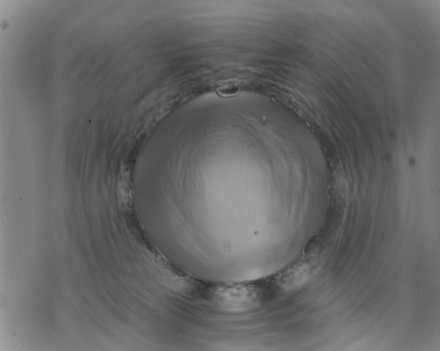 X0000075870181200610062012