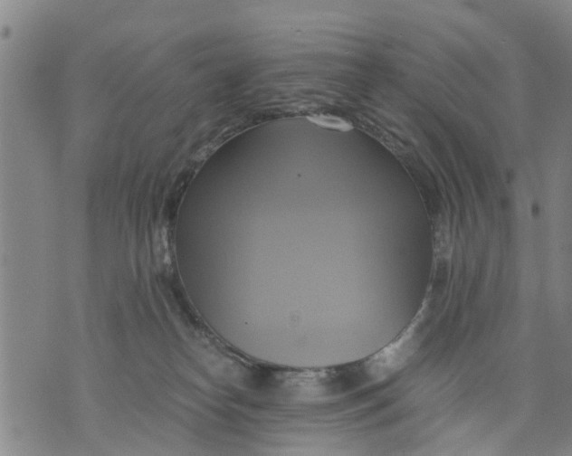 X0000075870182200610062012