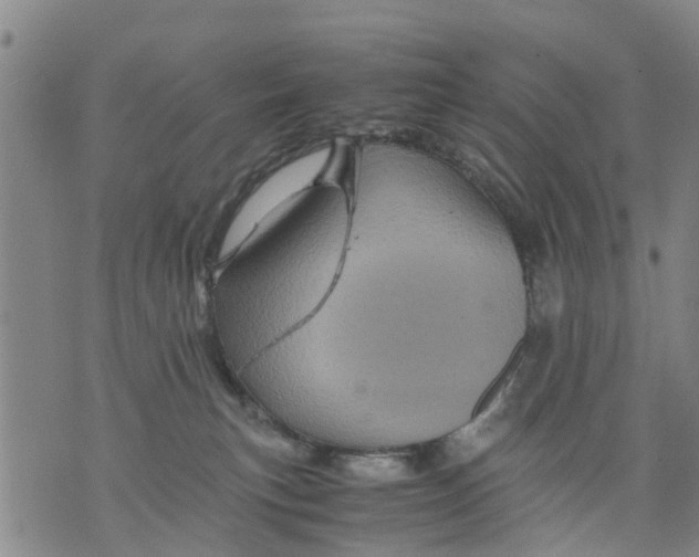 X0000075870183200610062012