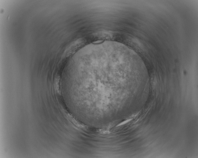 X0000075870185200610062012