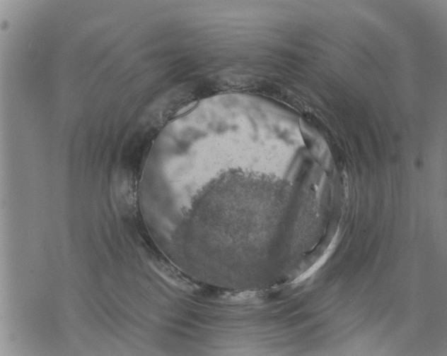 X0000075870186200610062012