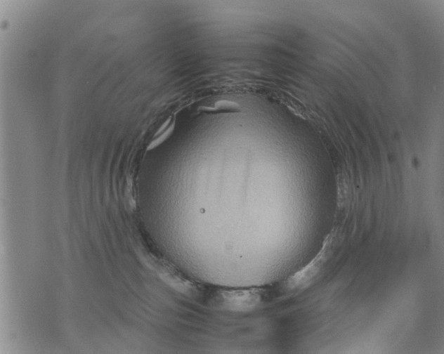 X0000075870187200610062012