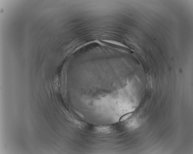 X0000075870189200610062012