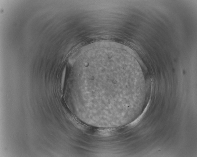 X0000075870190200610062012