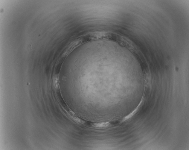 X0000075870191200610062012